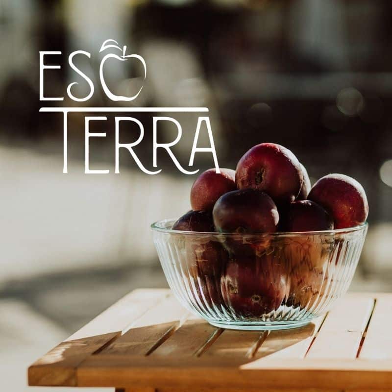 EsoTerra Squares (9)