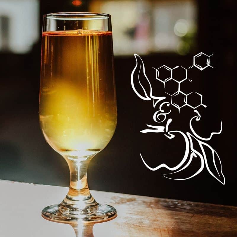EsoTerra Artisanal Cider